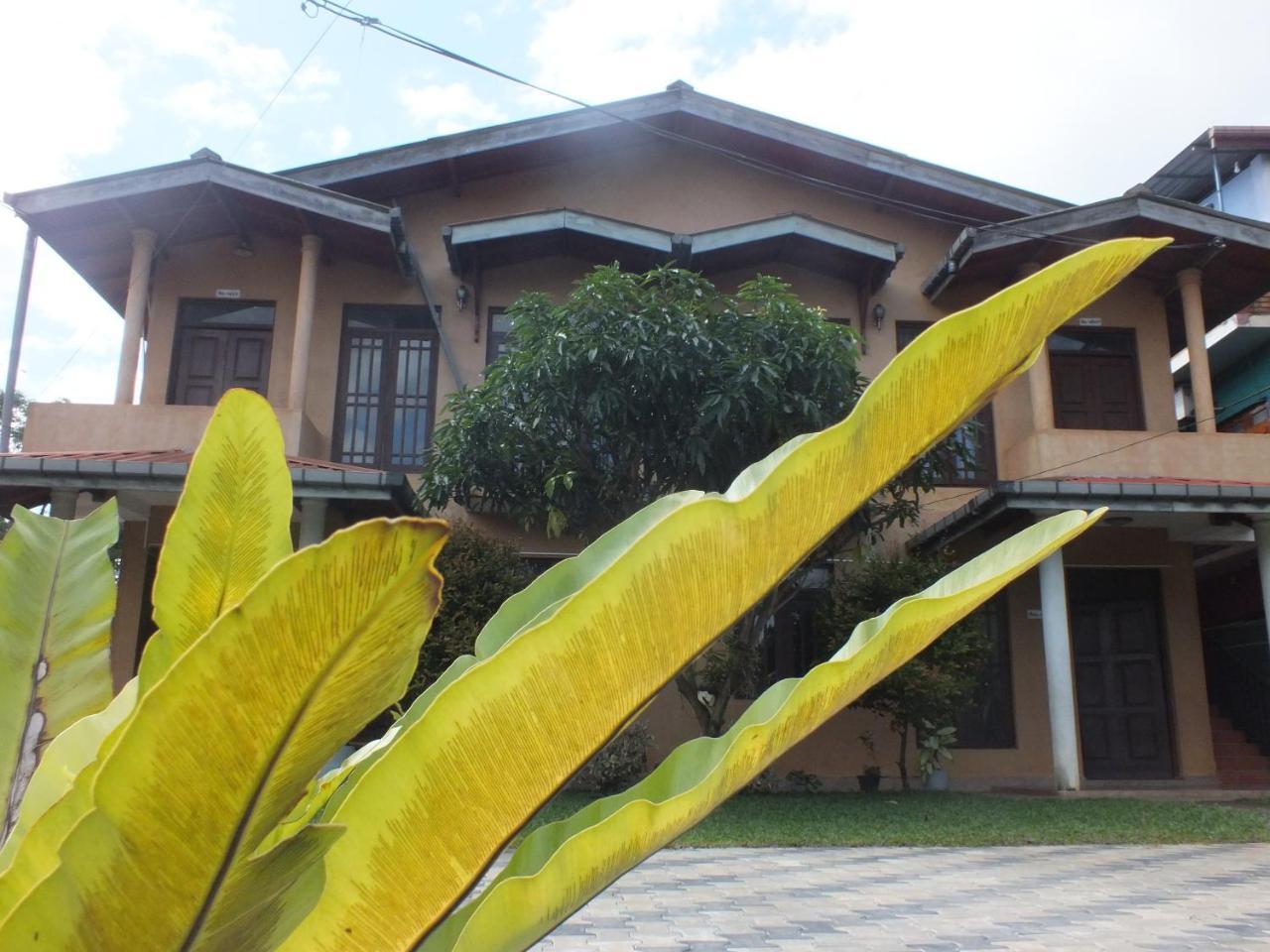 Hillsview Rest & Guest House Matale Luaran gambar